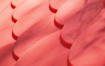 Wittersham plastic roof costs